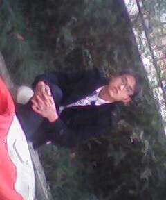 温柔的仔仔的头像