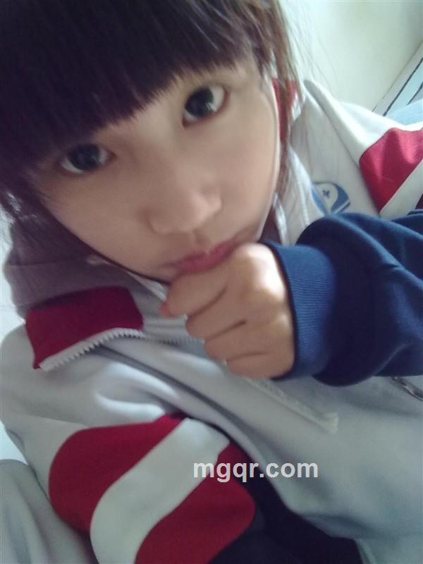 城堡里的猫的头像