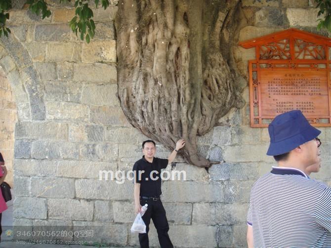 畅想快乐的头像