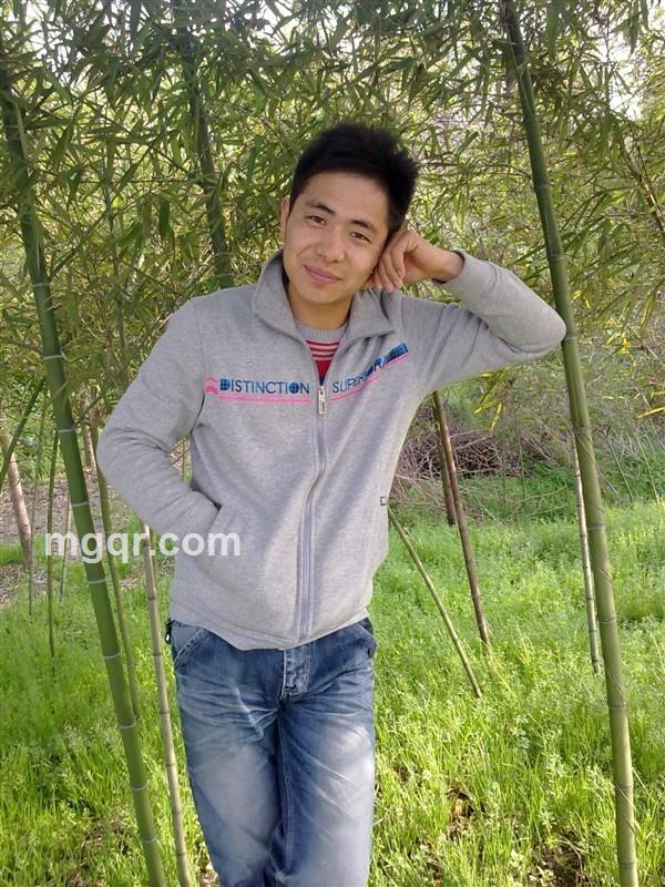 希望之龙的头像