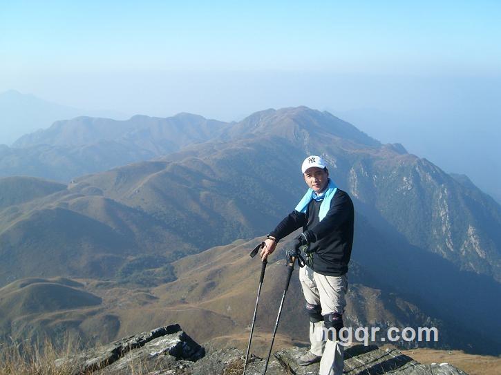 嘿嘿的眼睛的头像