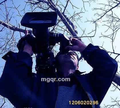 文艺复兴的头像