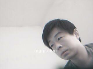 自由都市的头像