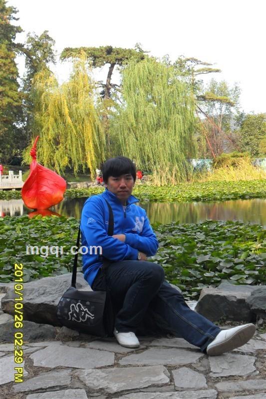迷X失的头像