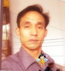 寻情使者的头像