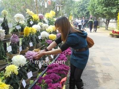 岭南人家的头像