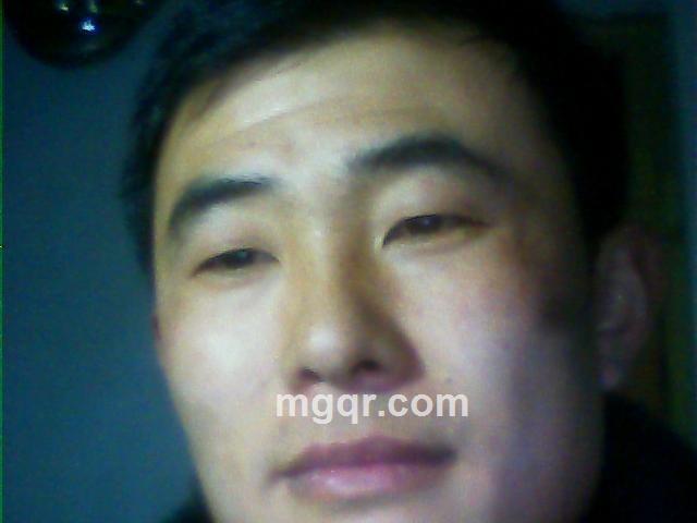 龙腾虎飞的头像