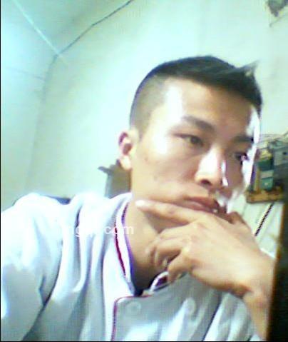 @想鱼的猫@的头像