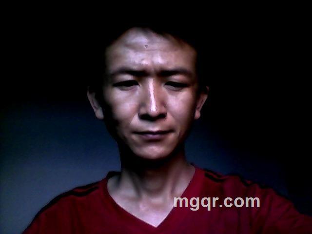 木秀于林风必摧之的头像