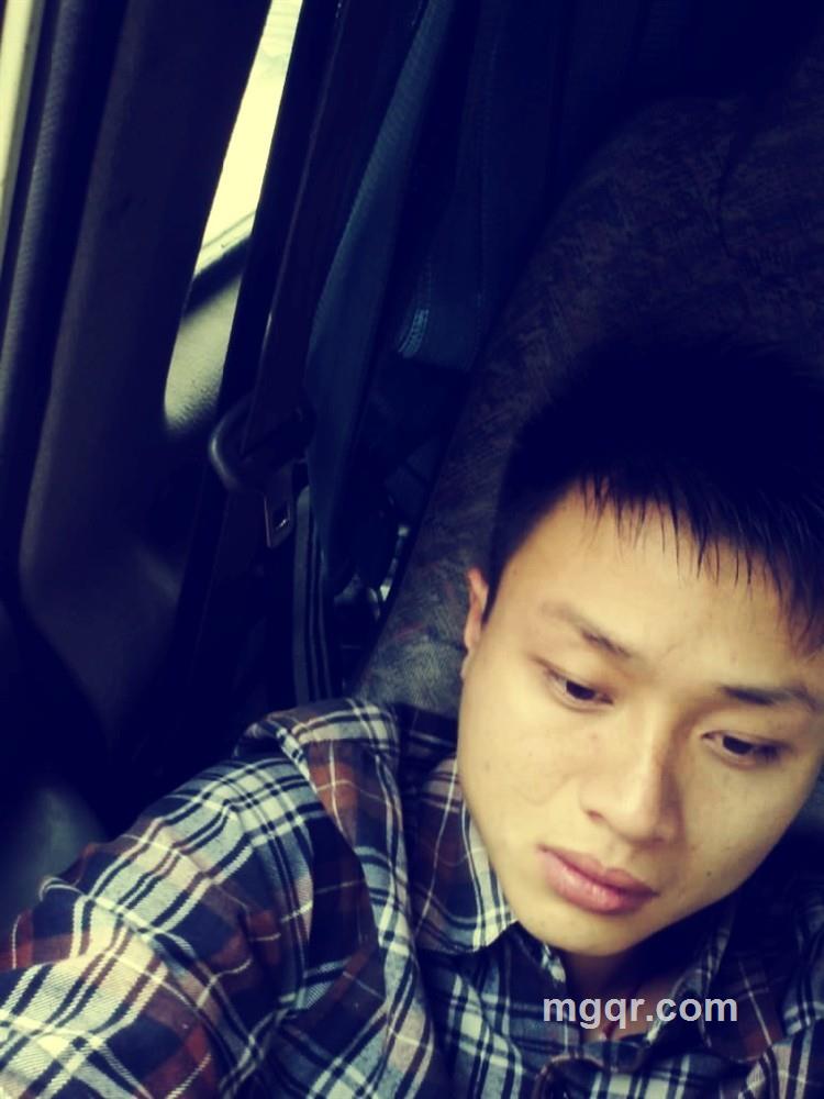 和猫睡觉的鱼的头像