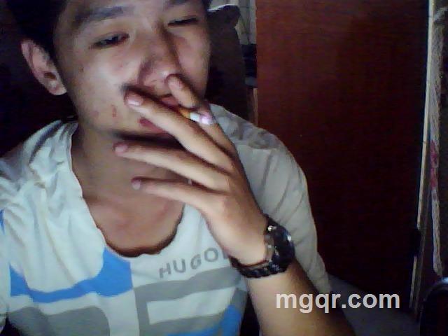 树上的落叶的头像