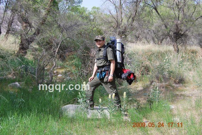 梧桐树516的头像