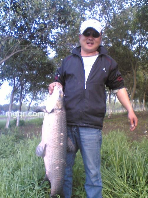 守护天使。007的头像