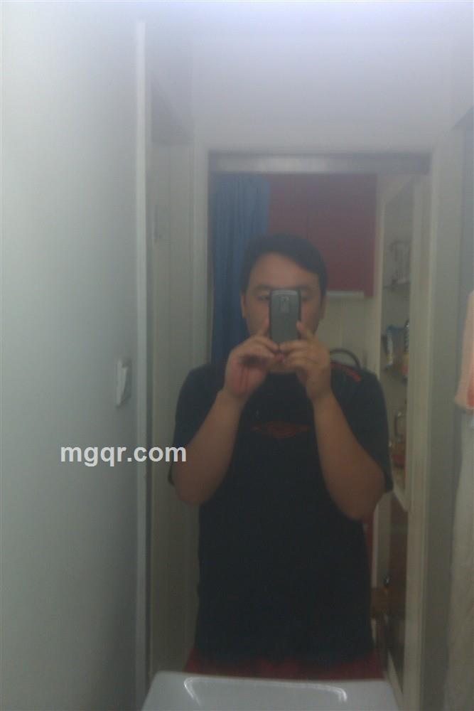 勤劳+蜜蜂的头像