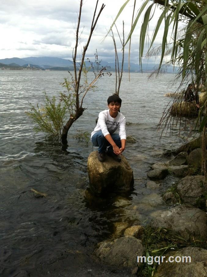 风舞秋叶的头像