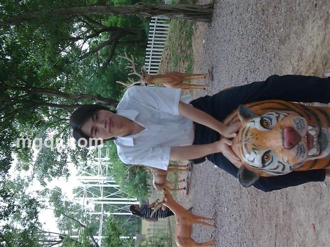 幸福的港弯的头像