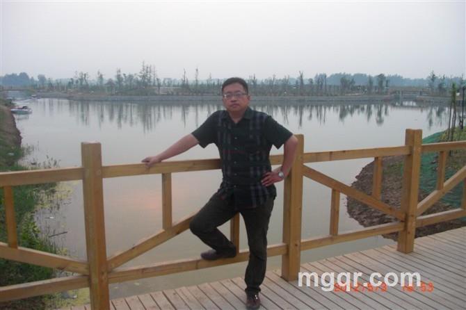 金币辉煌的头像