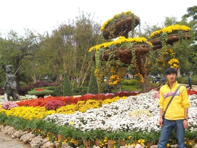 Freedom猎鹰的头像