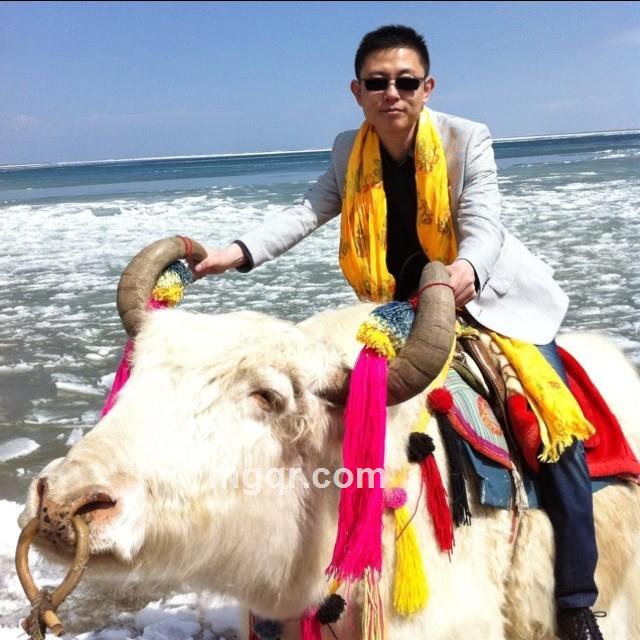 蓝颜戒情人的头像