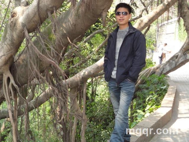 真情无悔的人的头像