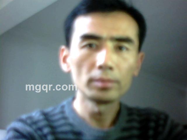 风卷杨柳的头像