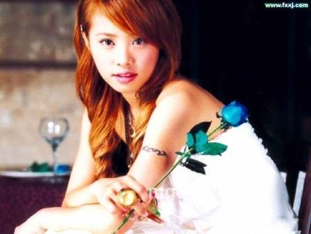 玫瑰网913的头像