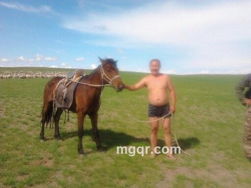 龙啸九天一的头像