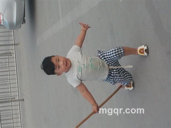 野鸭子123的头像