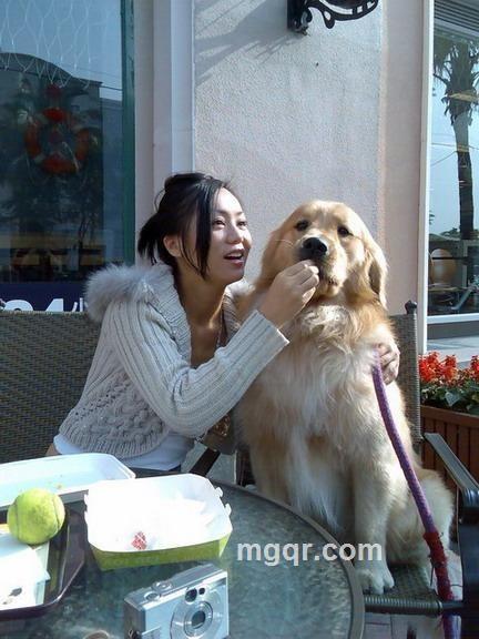 左脸倾城的头像