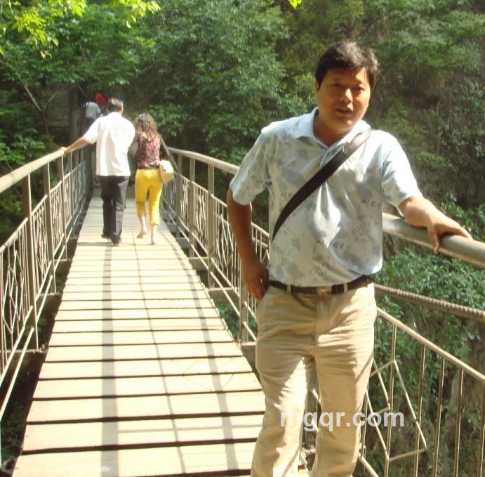 会跑的树的头像