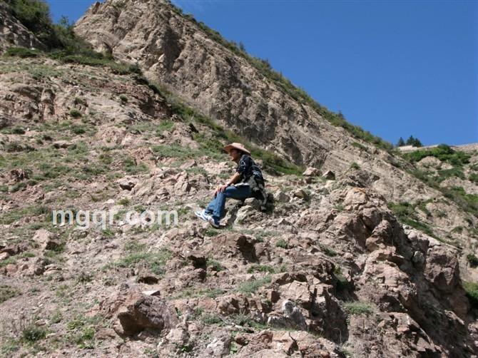 星期九九的头像