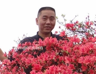 游离在外的游子的头像