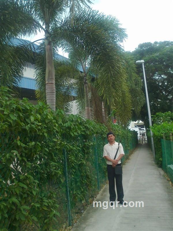 不想再孤独的头像