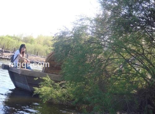 雪中蝴蝶飘飘的头像