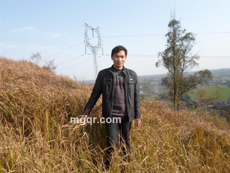 一网情深1314的头像