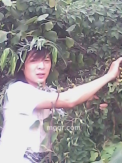 “习惯忧伤，的头像