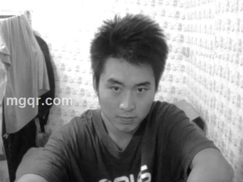 我是你的鸟儿的头像