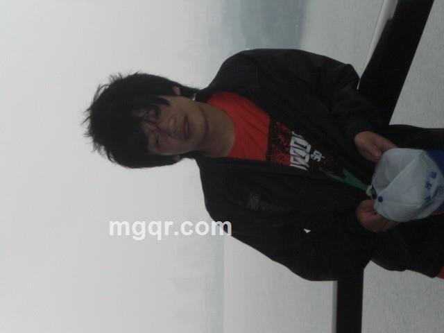 流浪的猫爱吃鱼的头像