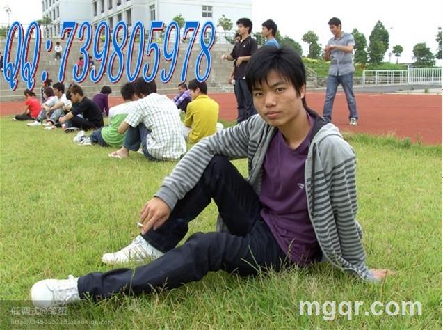 小小小刺猬的头像