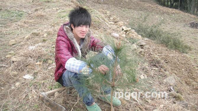 局部地区有黑洞的头像