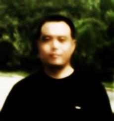 可爱的乖乖熊的头像