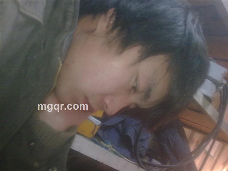 shuaizhubao的头像