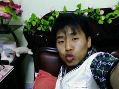 我为风狂的头像