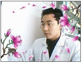 紫花情梦的头像