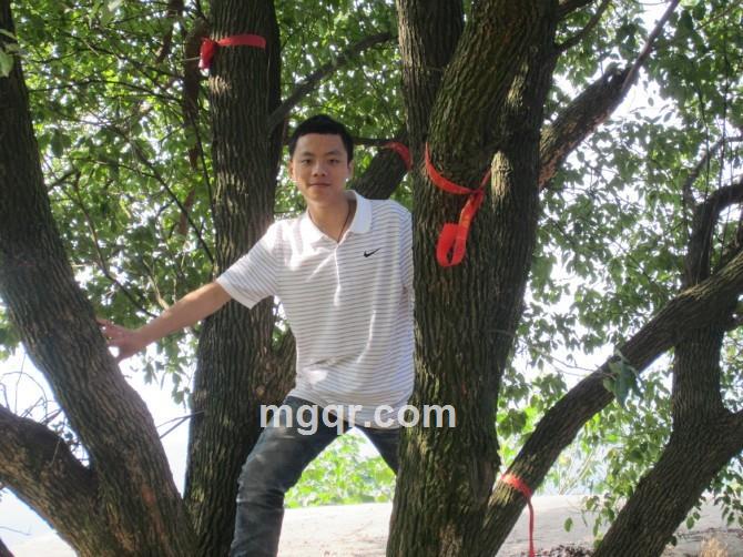 那里好大的头像