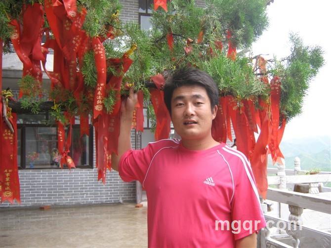小骚猫的头像