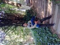 雨停、花落、回忆伤的头像