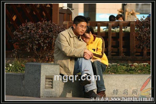 大家一起飞翔吧的头像