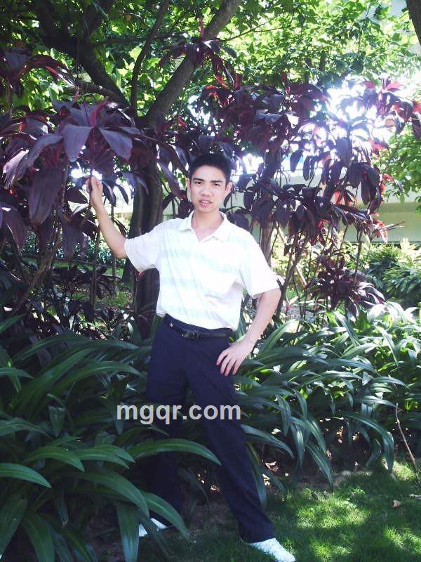 冰雪风情的头像