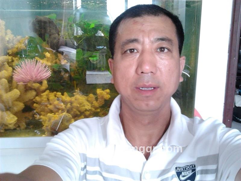 弯弓雕龙的头像